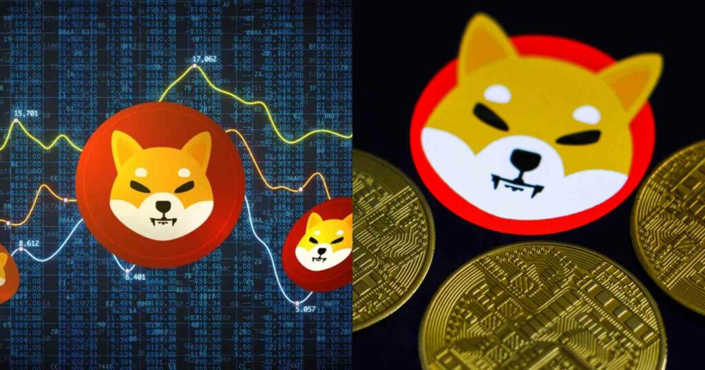 Facts about Shiba Inu Coin
