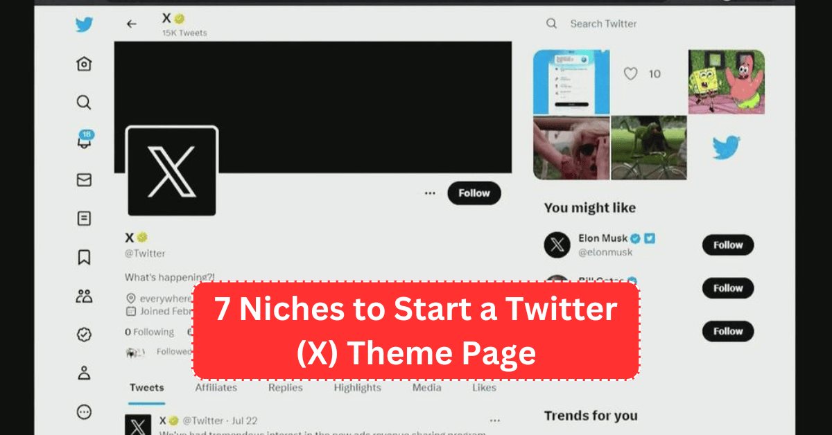 Niches to Start a Twitter Theme Page